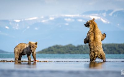 ALASKA: DOS MIRADAS DE UN DESTINO ALUCINANTE